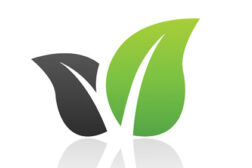 Green leaves logo