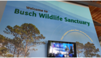 Image of the Busch Wildlife Sanctuary.