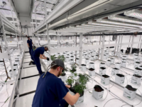 image of Highlands Grow operations