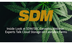 SDM cannabis webinar